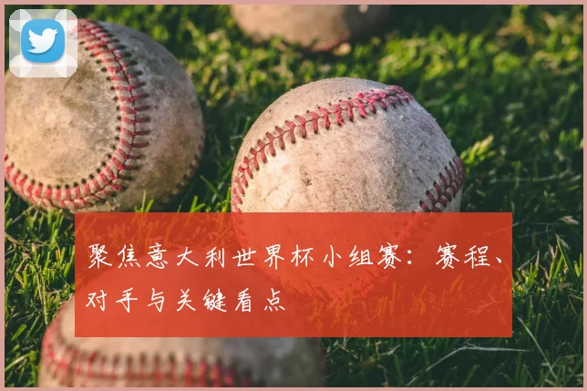 聚焦意大利世界杯小组赛：赛程、对手与关键看点